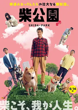国产99视频在线