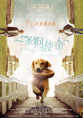 色中色软件