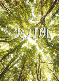 欧美老师