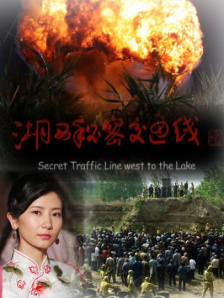 哪里可以看到